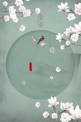 8050一级午夜未删减